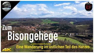 ↟ ↟ Zum Bisongehege | Eine Wanderung im östlichen Teil des Harzes | 4K HDR