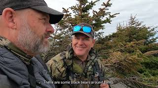 Harlan Hunts Brown Bear in Alaska! #hunting #wildlifeconservation #alaska #bear #brownbear