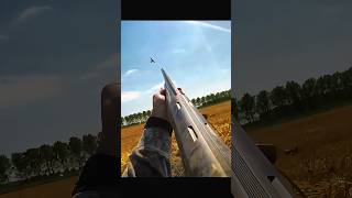 Two Shots, Two Pigeons – Accuracy Unleashed #охота #hunting #chasse #birdhunter #pigeonhunting