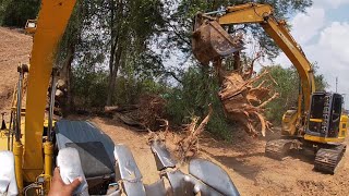 โดนแกล้ง⁉️ แมคโครใหญ่ตักดินขุดรากไม้ ตอไม้ Excavator