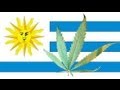 Uruguay Poised To Be First Country To Legalize Pot