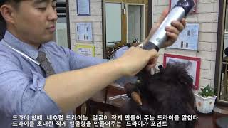 앞머리 가는 머리 볼륨살려주는 커트 murry directional haircut 2018 12 26