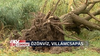 Özönvíz, villámcsapás