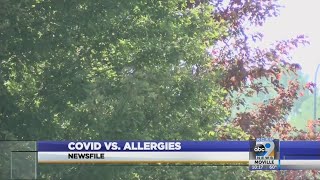 COVID vs. Allergies