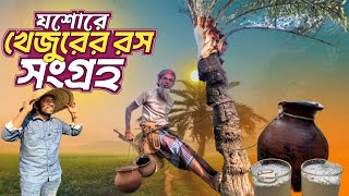 যশোরে যেভাবে খেজুর গাছ থেকে রস সংগ্রহ করে || Natural juice