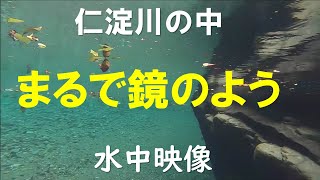 仁淀川の水中をがっつり撮影してみた