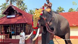 PARAVUR II POZHIKKARA DEVI TEMPLE II FESTIVAL II VILAKKU II MANIYANS BLOG