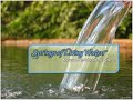 springs of living water