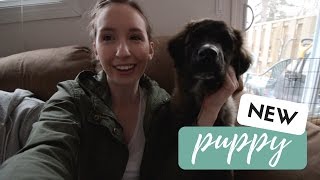 SHE GOT A NEW PUPPY! | Ayla and Caleb