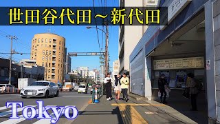 環七沿い にある 下北沢 の隣町、世田谷代田 ～ 新代田 を散策　　快晴　　（世田谷区）🌞 3D高音質・イヤホン推奨　　【睡眠用】