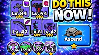 Full breakdown on ASCENSIONS in forge master