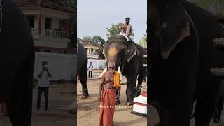 പാവത്തിന് കാല് വയ്യേ😔🙏ആദിനാട് സുധീഷ് ആന aadhinadu sudheesh elephant