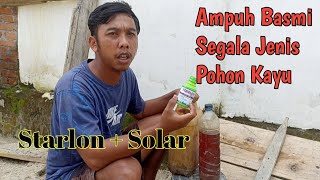 Starlon + Solar untuk racun kayu