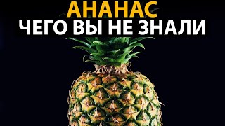 Самые интересные факты про АНАНАС. Чего вы не знали?