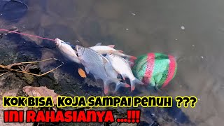 Rahasia mancing tawes agar dapat banyak #jelata