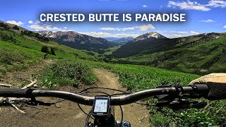 Colorado MTB Trip 2024 | Crested Butte | Town Trails and 401 Trail | Texas Mountain Bikers