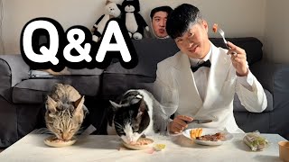 100만 고양이의 품격있는 Q&A