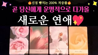 [타로 연애운]🌹곧 당신에게 운명적으로 시작될, 💖새로운 연애💘+이때 만나게 됩니다 +만나는방법 +소울메이트 +연상연하 +외모 +직업 +성격 +스토리 등