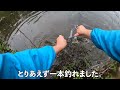 深い森の奥に潜むウシガエルを丸呑みにする怪魚を釣る