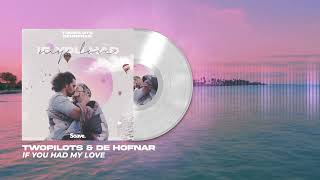 TWOPILOTS & De Hofnar - If You Had My Love (Official Visualizer)