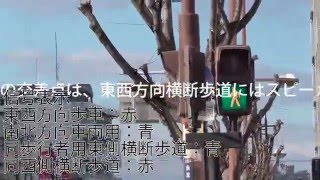 布施駅前の音響式信号機、異種鳴き交わしにしたらいいのに