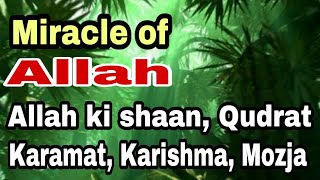 Miracle of Allah | Allah ki shaan | Qudrat | Karamat | Karishma | Mojza viral video