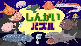 【深海生物パズル】たくさんの深海生物が登場！メガマウス、チョウチンアンコウ、デメニギス、リュウグウノツカイetc