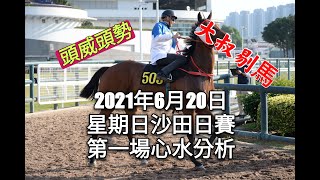 港產筒索萬 -『大叔剔馬』香港賽馬 星期日沙田日賽 2021年6月20日 第一場賽事分析