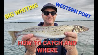 WHITING FISHING | WESTERN PORT | BIG WHITING