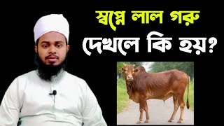 স্বপ্নে লাল গরু দেখলে কি হয়? | স্বপ্নের ব্যাখ্যা | মুফতি মুহিব্বুল্লাহ আল হানাফী।