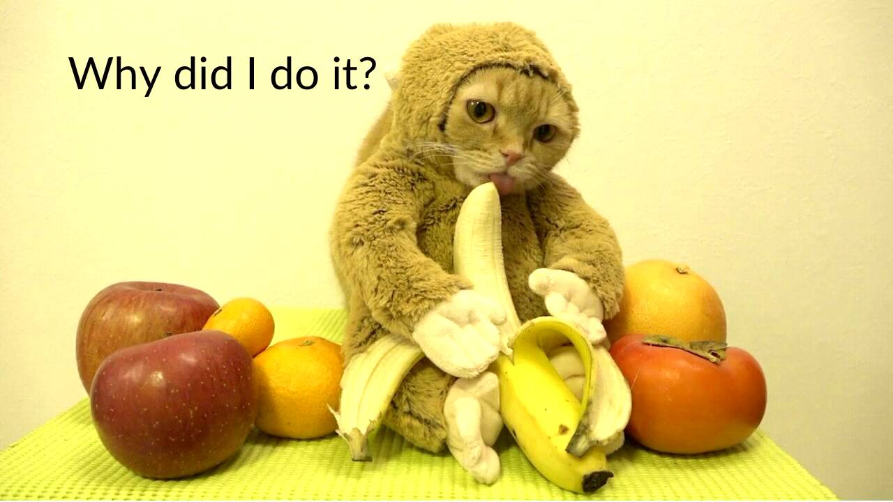 Reproducible Research In Python Youtube