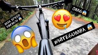 GOING DOWNHILL FROM WHITEGUMBA 😱🥰💖 | MAX SPEED 58 KM/H