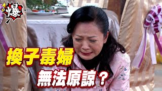 《多情大爆爆》多情城市 EP350  換子毒婦  無法原諒？