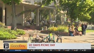 UC Davis Picnic Day
