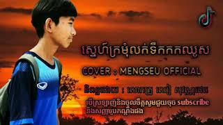 ស្នេហ៍ក្រមុំលក់ទឹកកកឈូស Cover : [MENGSEU OFFICIAL]