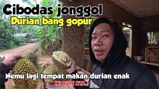 KAMPUNG CIBODAS JONGGOL penghasil durian lokal RASA NYA NGGAK KALENG KALENG ini rute nya..!!