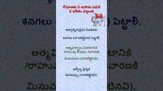 గోమాత కి ఏ ఆహారం పెడితే ఏ ఫలితం వస్తుంది? #what #food #to #feed #cows #and #the #result #hindu #god