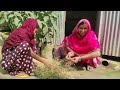 কি সিদ্ধান্ত নিলো নাজমিনের বোন ও নাজমিন । lr agro