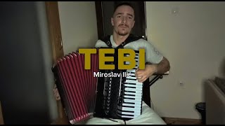 TEBI - Harmonika ( Miroslav Ilic )