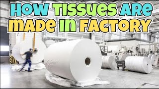 How Tissues Are Made In Factory