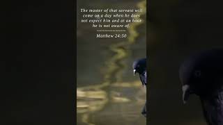 Bible | Matthew 24:50 | The master of that servant wil...