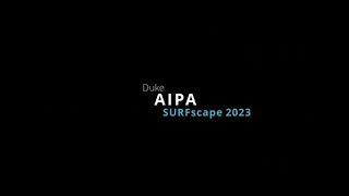 AIPA Surfboards