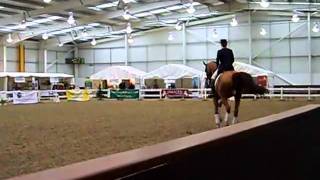 Dressage demo by Fiona Bigwood riding Wie Atlantico