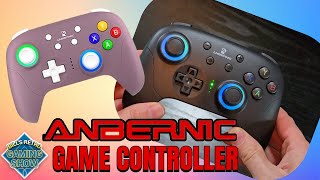 Is This the Best Budget Controller on the Market? Anbernic's New Game Controller -  RG P01