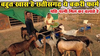 Desi Goat's wonderful goat farm, husband and wife run it together Desi Goat Farming