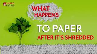 What Happens to Paper After It's Shredded?