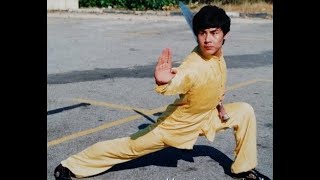 Zhao Chang Jun - Monkey fist   Wushu