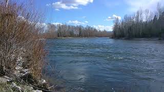 Bitterroot River facing South