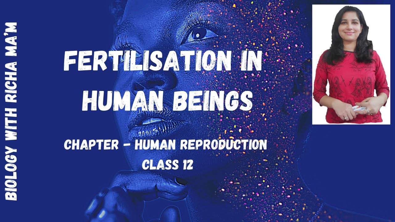 FERTILIZATION IN HUMAN BEINGS HUMAN REPRODUCTION CLASS XII BIOLOGY ...