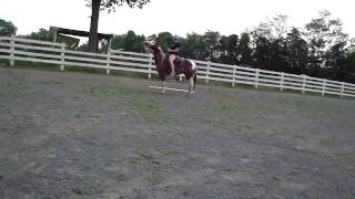 M4H06052.MP4